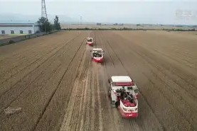 开云体育-包含圗枎?i'讏~搖@?w?芿?台亩z